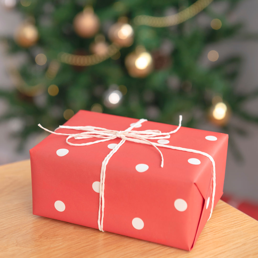 Ottawa Fall & Christmas Craft Shows