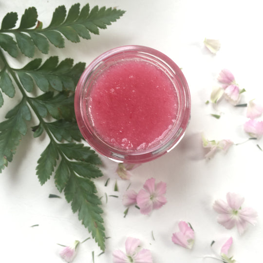 Pom Pom Pucker - Lip Scrub