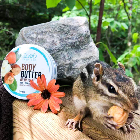 Au Naturel - Raw Shea Body Butter