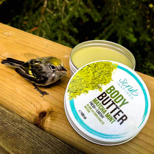 Matcha Mint -  Body Butter