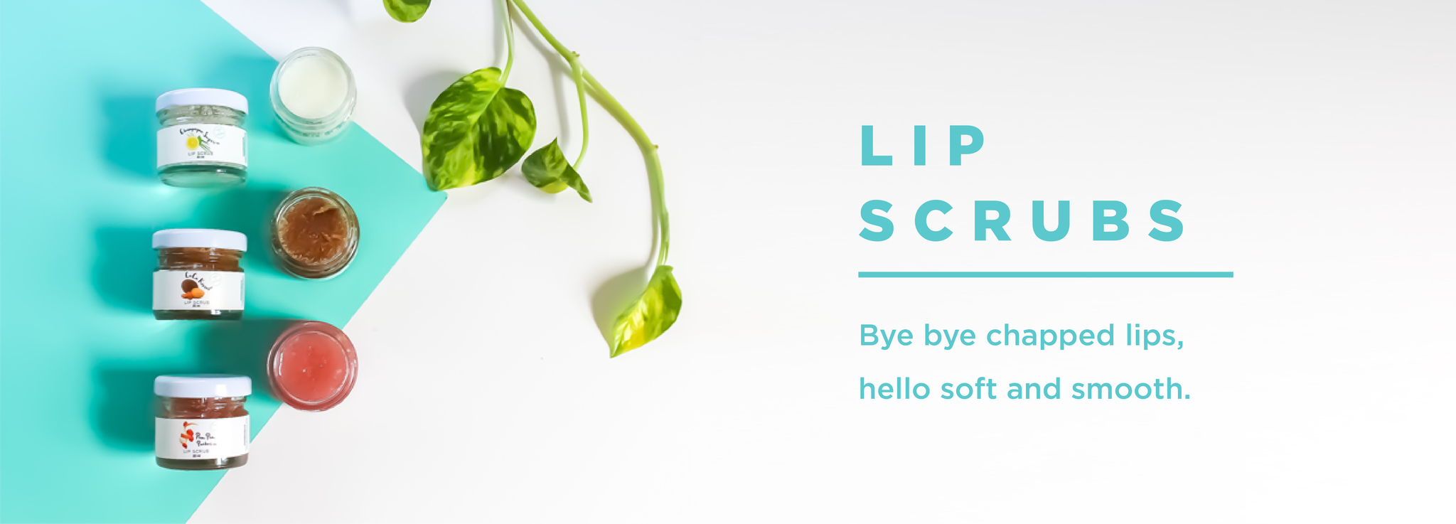 sugar lip scrubs, natural beauty, scrub inspired, canada